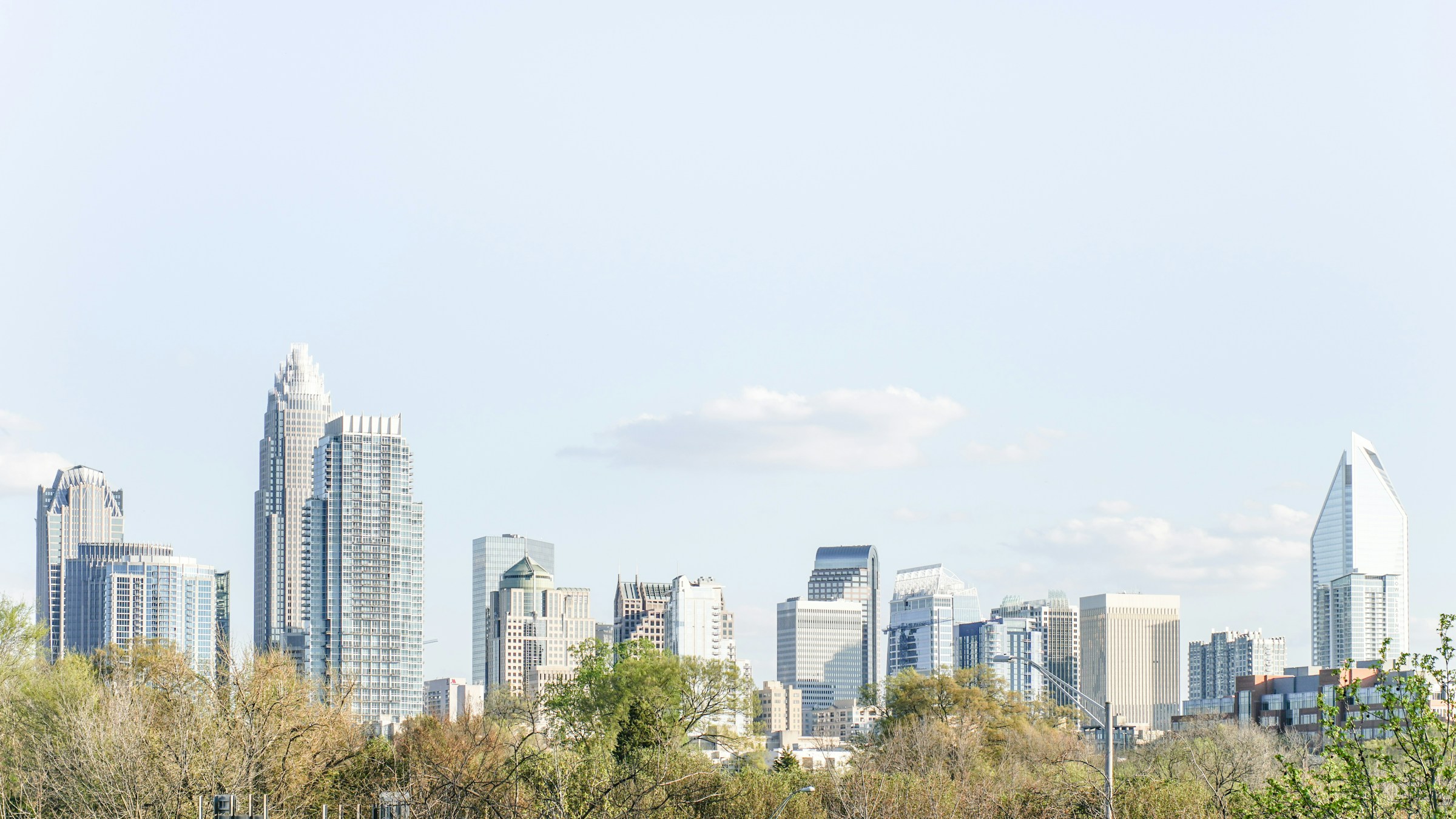 Charlotte skyline above a tree-lined neighborhood